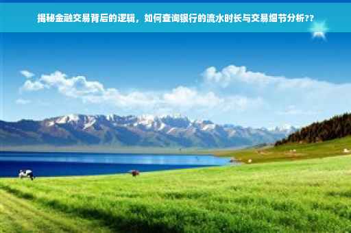 揭秘金融交易背后的逻辑，如何查询银行的流水时长与交易细节分析??