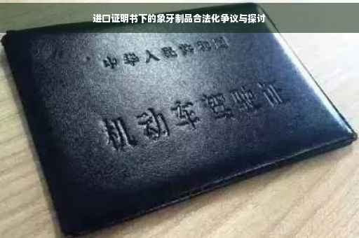 进口证明书下的象牙制品合法化争议与探讨 进口证明书下的象牙制品合法化争议与探讨