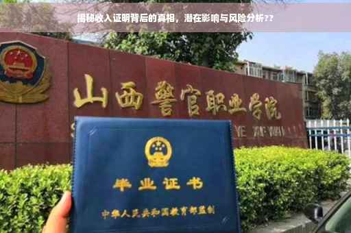 揭秘收入证明背后的真相，潜在影响与风险分析??