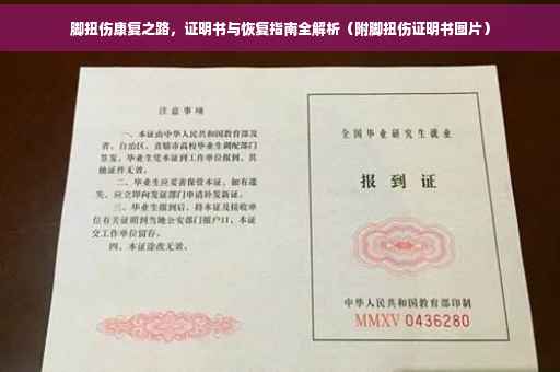 脚扭伤康复之路，证明书与恢复指南全解析（附脚扭伤证明书图片）