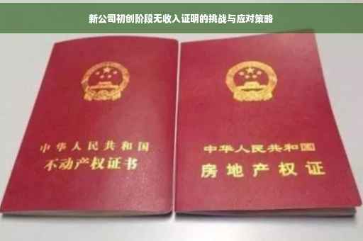 新公司初创阶段无收入证明的挑战与应对策略