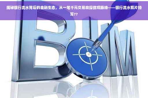 揭秘银行流水背后的金融生态，从一笔千元交易窥探微观脉络——银行流水照片特写??