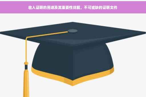 收入证明的用途及其重要性详解，不可或缺的证明文件