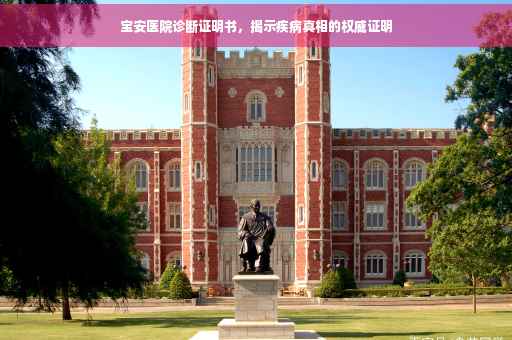 宝安医院诊断证明书，揭示疾病真相的权威证明