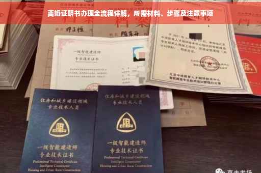 离婚证明书办理全流程详解，所需材料、步骤及注意事项
