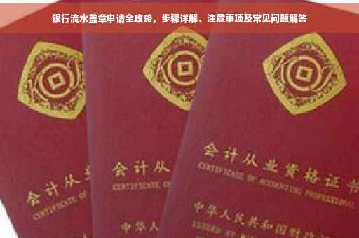 银行流水盖章申请全攻略，步骤详解、注意事项及常见问题解答