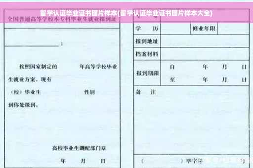 留学认证毕业证书图片样本(留学认证毕业证书图片样本大全)
