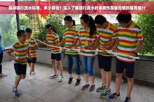 揭秘银行流水标准，多少算低？深入了解银行流水的重要性及被拒签的临界值??