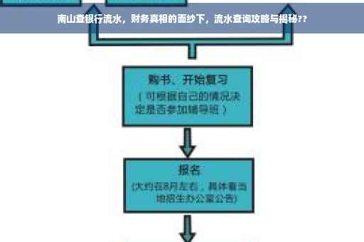 南山查银行流水，财务真相的面纱下，流水查询攻略与揭秘??