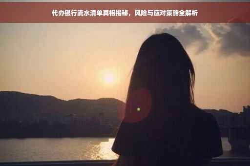 代办银行流水清单真相揭秘，风险与应对策略全解析