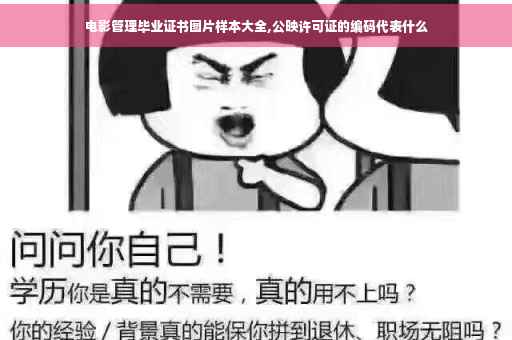 电影管理毕业证书图片样本大全,公映许可证的编码代表什么