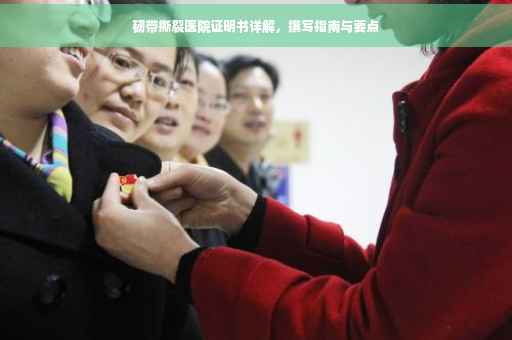 韧带撕裂医院证明书详解，撰写指南与要点