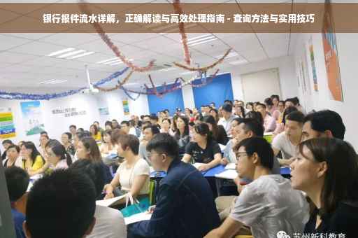 银行报件流水详解，正确解读与高效处理指南 - 查询方法与实用技巧