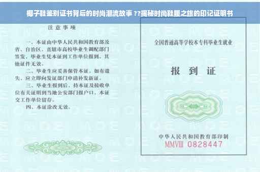 椰子鞋鉴别证书背后的时尚潮流故事 ??揭秘时尚鞋履之旅的印记证明书