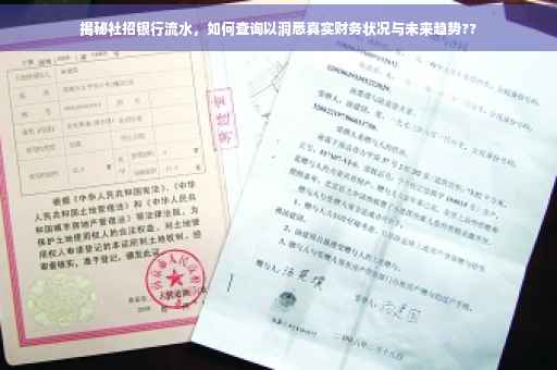 揭秘社招银行流水，如何查询以洞悉真实财务状况与未来趋势??