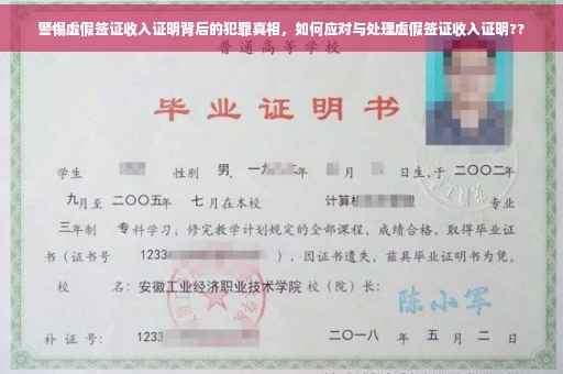 警惕虚假签证收入证明背后的犯罪真相，如何应对与处理虚假签证收入证明??