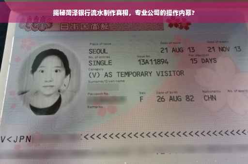 揭秘菏泽银行流水制作真相，专业公司的操作内幕?