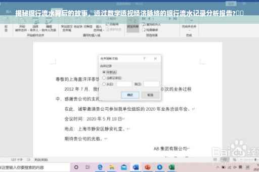 揭秘银行流水背后的故事，透过数字透视经济脉络的银行流水记录分析报告?⚡️