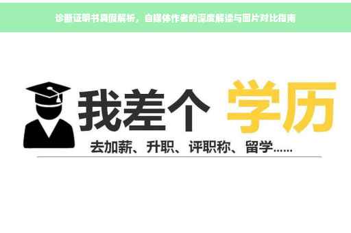 诊断证明书真假解析，自媒体作者的深度解读与图片对比指南