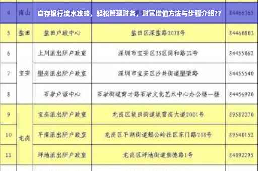 自存银行流水攻略，轻松管理财务，财富增值方法与步骤介绍??
