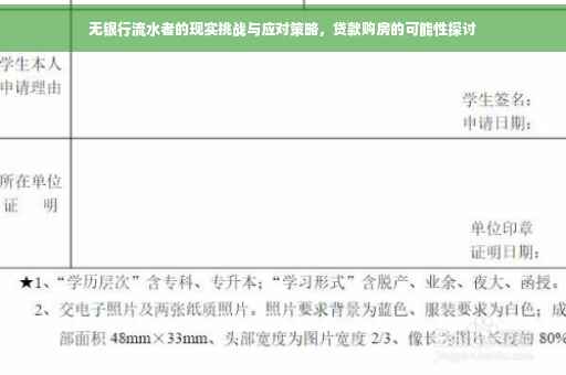 无银行流水者的现实挑战与应对策略，贷款购房的可能性探讨