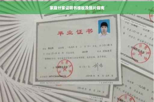 家庭分家证明书模板及图片指南
