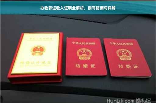 办收养证收入证明全解析，撰写指南与详解