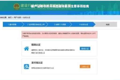 破产证明书的开具流程详解及注意事项指南