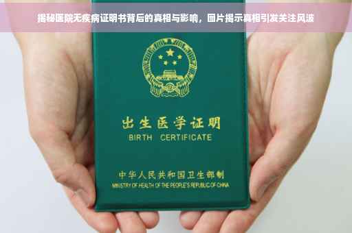 揭秘医院无疾病证明书背后的真相与影响，图片揭示真相引发关注风波