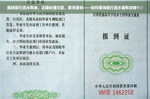 揭秘银行流水账单，正确处理欠款，避免困扰——如何查询银行流水查账攻略?⚡️