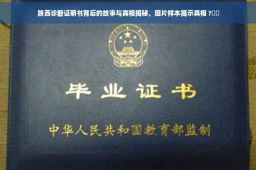陕西诊断证明书背后的故事与真相揭秘，图片样本揭示真相 ?⚡️