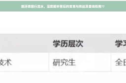 新环境银行流水，深度解析背后的变革与挑战及查询指南??