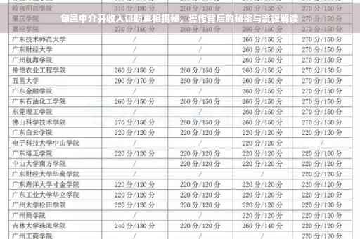 旬邑中介开收入证明真相揭秘，操作背后的秘密与流程解读