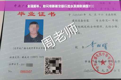 全程解析，如何准确确定银行流水及辨别真假?⚡️