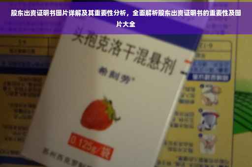 股东出资证明书图片详解及其重要性分析，全面解析股东出资证明书的重要性及图片大全