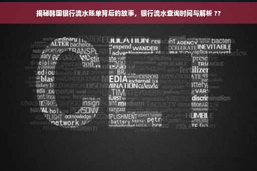 揭秘韩国银行流水账单背后的故事，银行流水查询时间与解析 ??