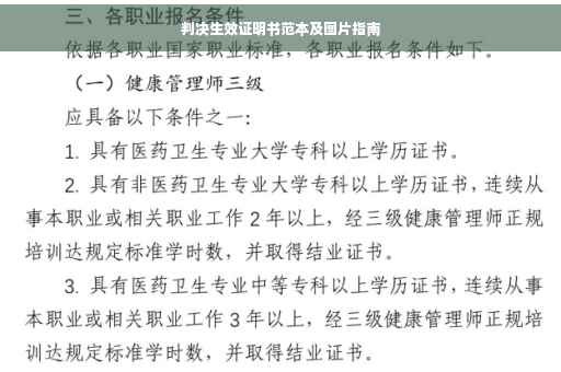 判决生效证明书范本及图片指南