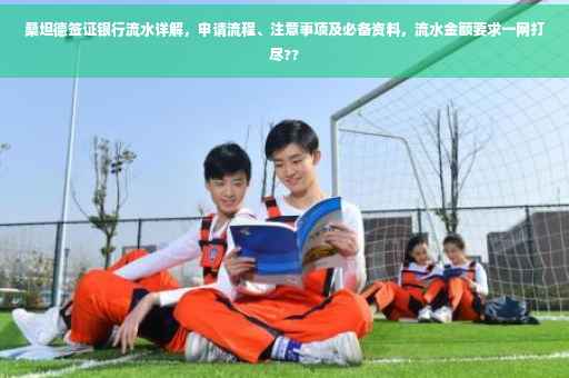 桑坦德签证银行流水详解，申请流程、注意事项及必备资料，流水金额要求一网打尽??