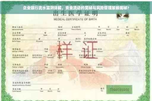 企业银行流水监测详解，资金流动的奥秘与风险管理策略揭秘?