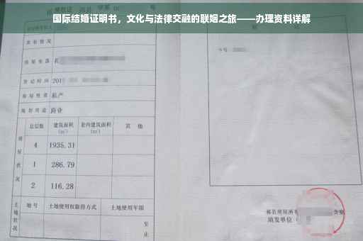 国际结婚证明书，文化与法律交融的联姻之旅——办理资料详解