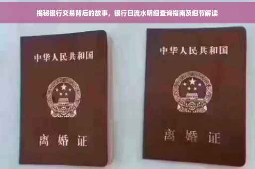 揭秘银行交易背后的故事，银行日流水明细查询指南及细节解读