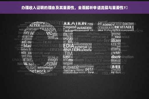 办理收入证明的理由及其重要性，全面解析申请流程与重要性?✨