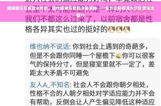 揭秘银行交易流水贷款，操作指南与智能决策策略——全方位解析流水贷款查询流程??