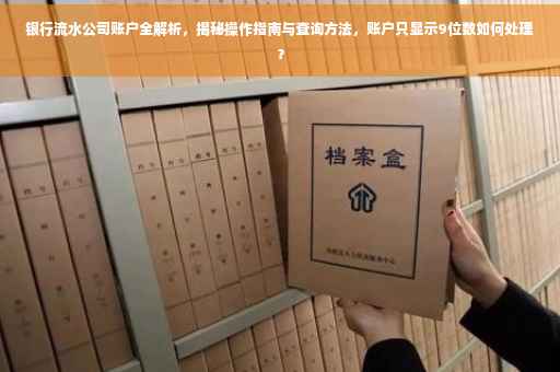 银行流水公司账户全解析，揭秘操作指南与查询方法，账户只显示9位数如何处理？