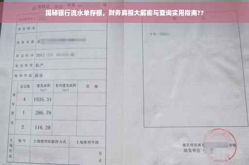 揭秘银行流水单存根，财务真相大解密与查询实用指南??