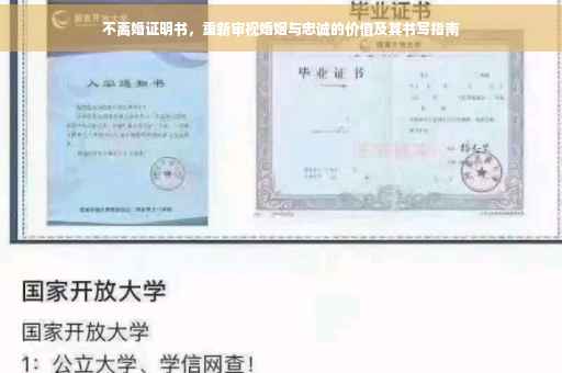 不离婚证明书，重新审视婚姻与忠诚的价值及其书写指南