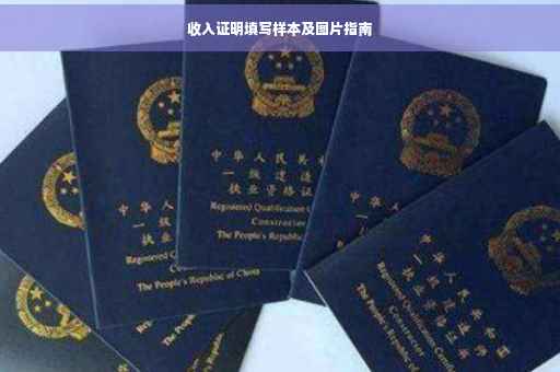 收入证明填写样本及图片指南