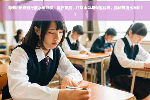 揭秘税局查银行流水全过程，操作详解、注意事项与误解解析，揭秘查流水目的??