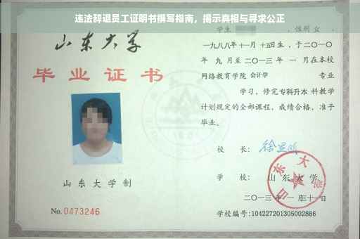 违法辞退员工证明书撰写指南，揭示真相与寻求公正