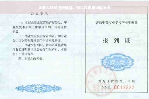 无收入证明说明详解，撰写指南与理解要点